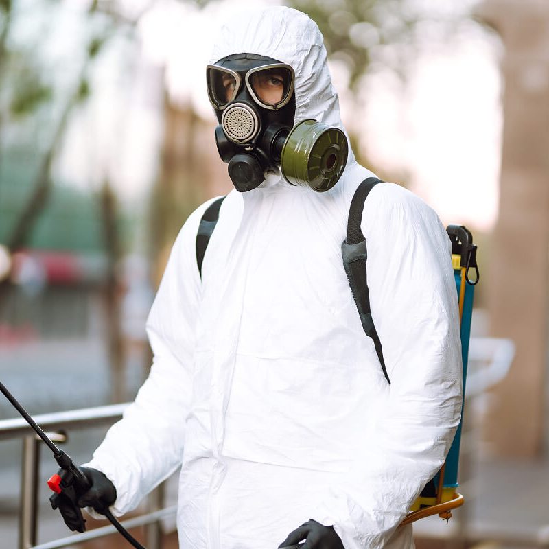 Pest Treatment Works